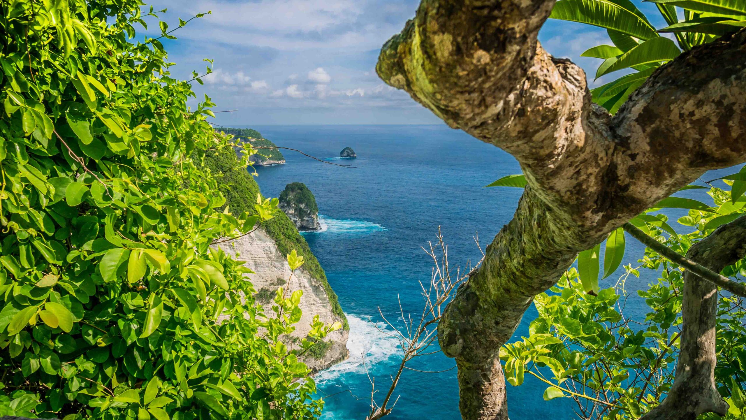 nusa penida nice trip reviews